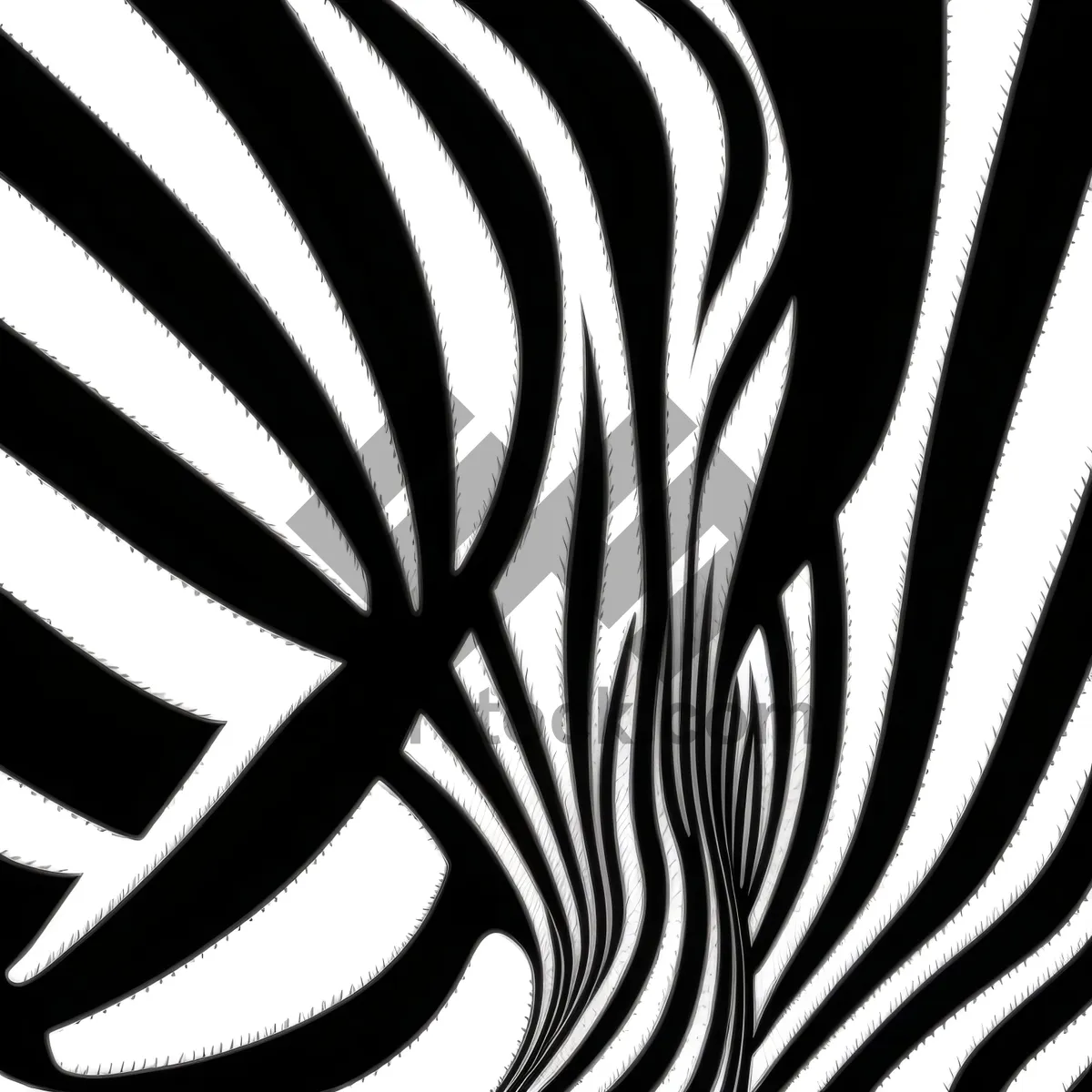 Picture of Zebra Tracery: Graphic Black Lines for Dynamic Wallpaper Design