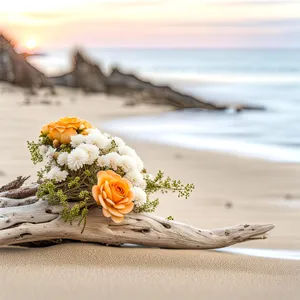 Delicious salmon dish by the beach.