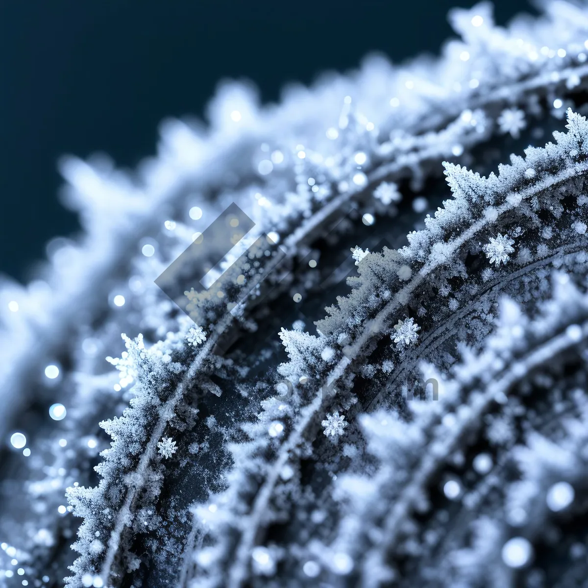 Picture of Frosty Winter Wonderland Under the Tree