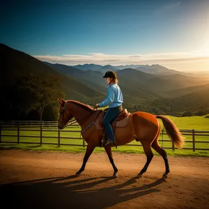 Rural Equestrian Resort: Majestic Stallion in Field