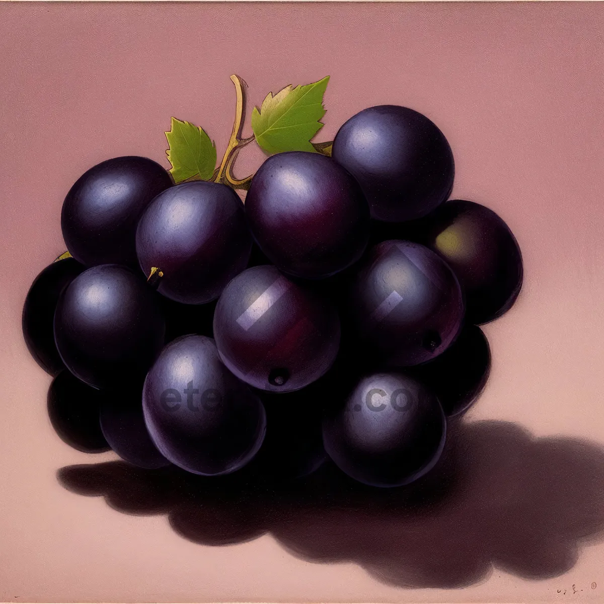 Picture of Fresh and Juicy Grape Bunch: Nutritious and Sweet!