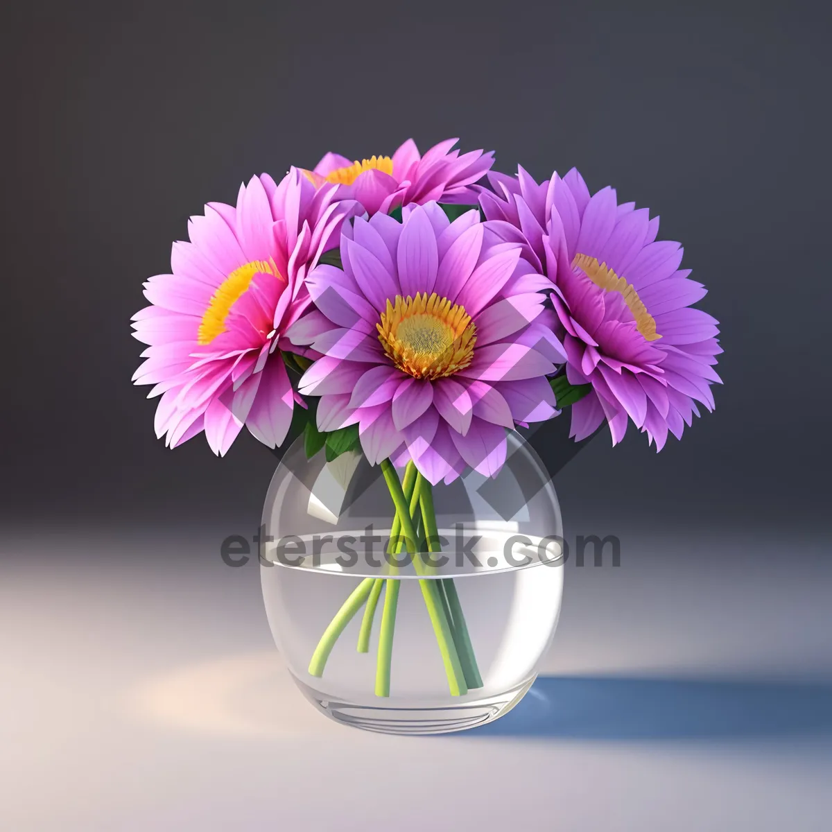 Picture of Vibrant Pink Daisy Blossom in Spring Garden