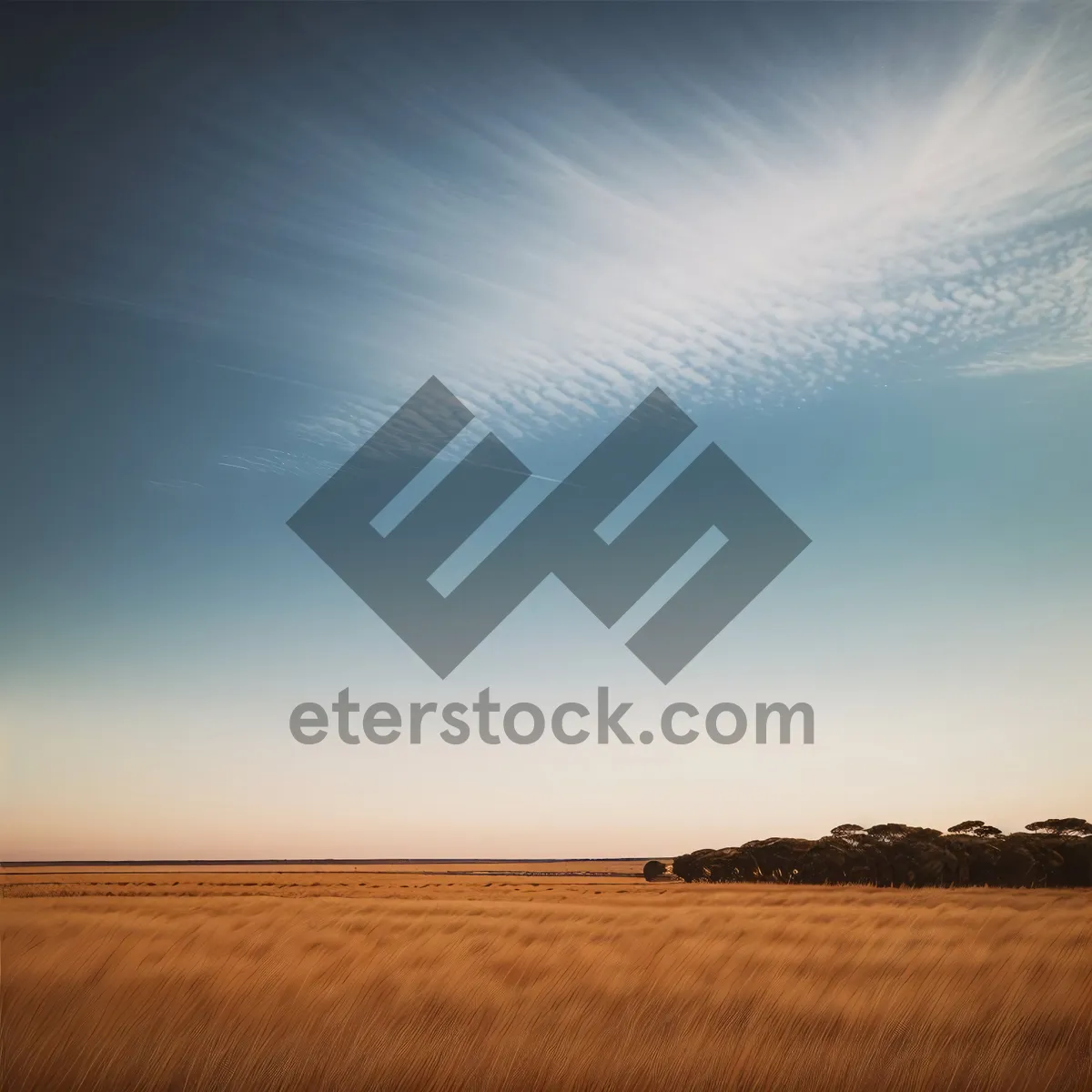 Picture of Golden Dunes and Cloud-kissed Horizon