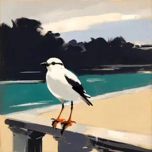 Majestic Magpie Soaring Above Coastal Waters