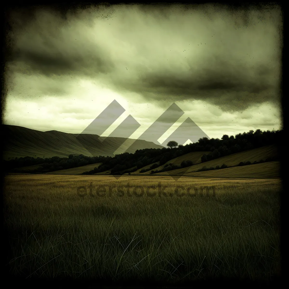 Picture of Serenity in the Rural Sunset: Horizon's Grassy Meadow