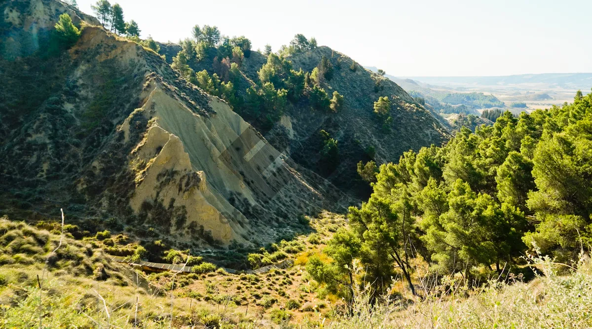 Picture of Scenic Mountain River in National Park