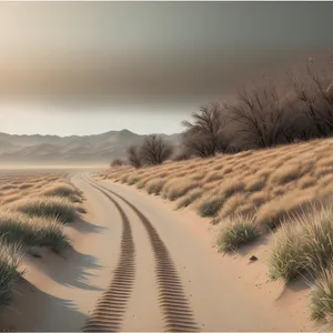 Golden Horizon: Sunlit Dunes Embracing Rural Scenic Beauty