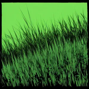 Vibrant Tape Grass in Lush Aquatic Field