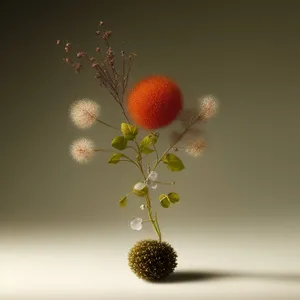 Fresh Strawberry Closeup in Garden with Blossom