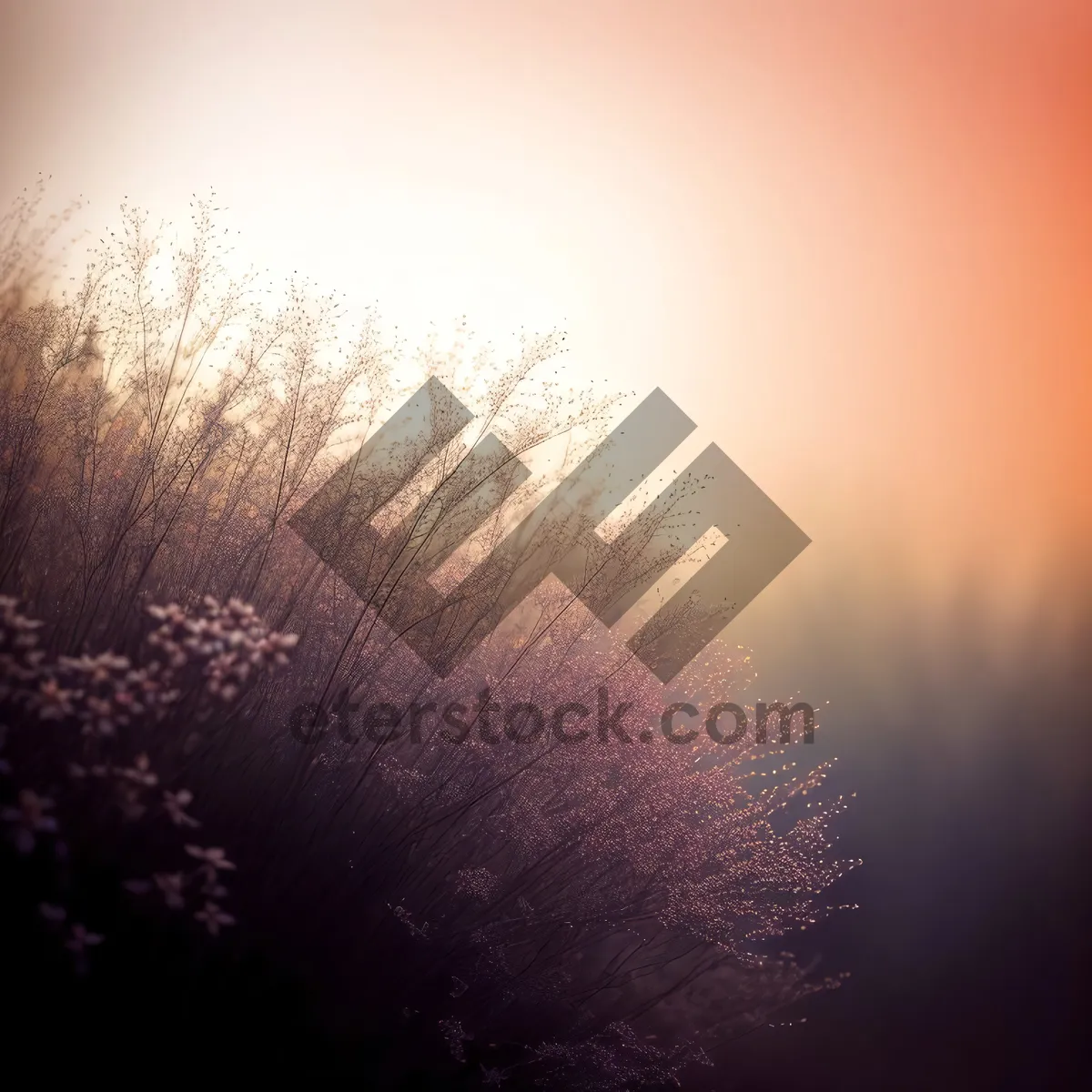 Picture of Sparkling Winter Skies with Dandelion Lights