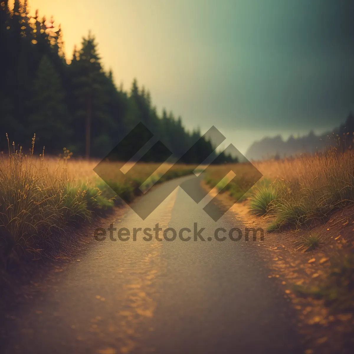 Picture of Serene Country Sunset over Rolling Meadow