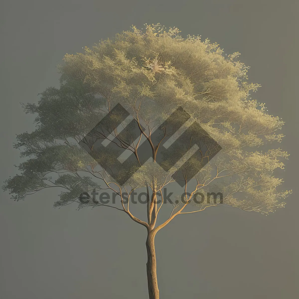 Picture of Serene Spring Forest with Blooming Wild Angelica