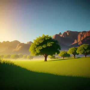 Colorful Sunset Over Rural Meadow