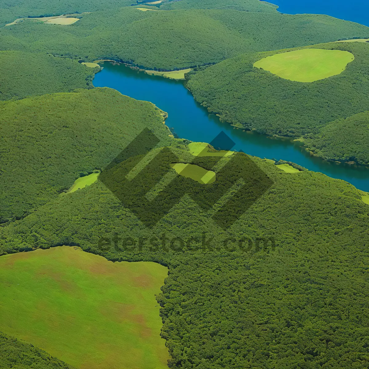 Picture of Golf Course Landscape with Aquatic Plants