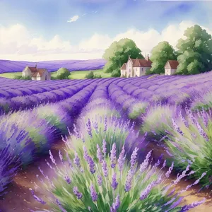 Lavender Blossom in Vibrant Purple