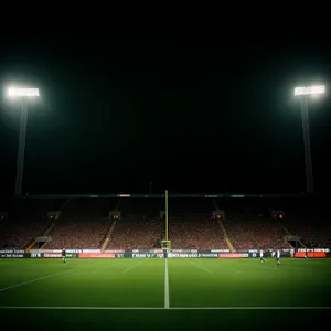 Nighttime stadium lights illuminate a cheering crowd.