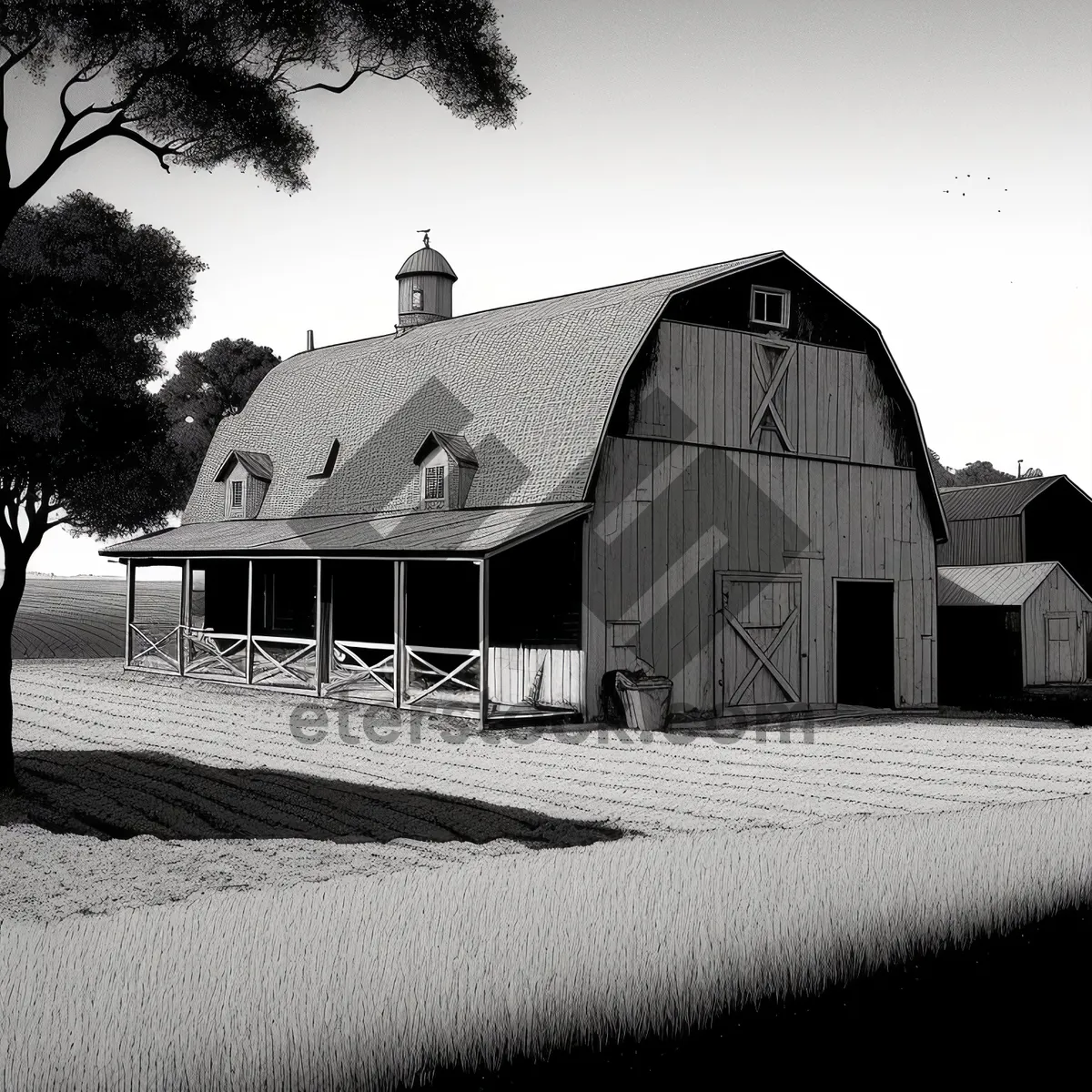 Picture of Rustic Barn in Countryside Surrounded by Fields