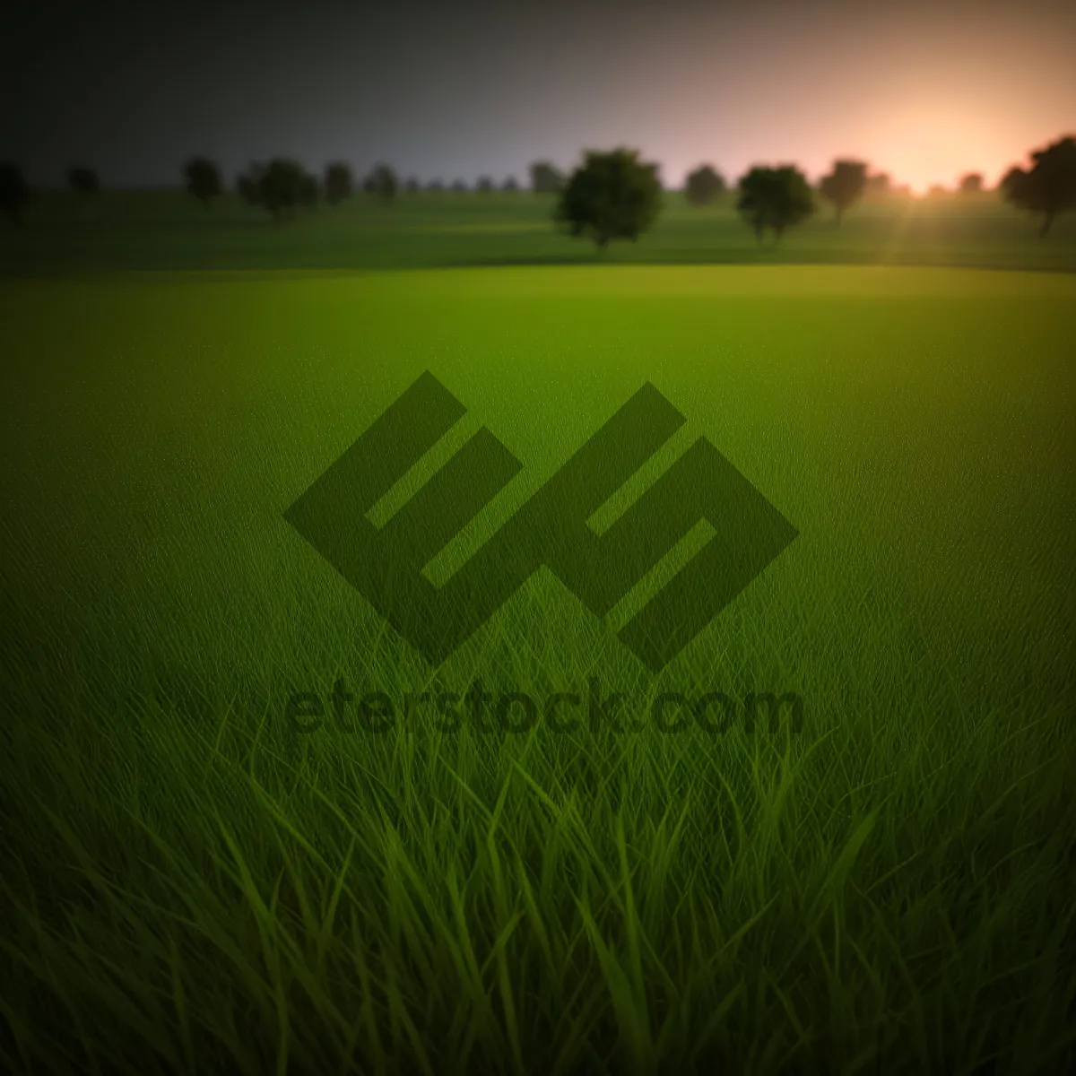 Picture of Idyllic Summer Field Under Clear Blue Sky