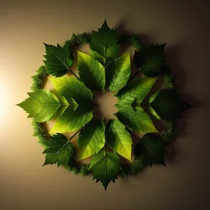 Evergreen Holly Tree Branch with Festive Decorations