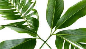 Green Bamboo Leaves - Summer Plant Wallpaper Design