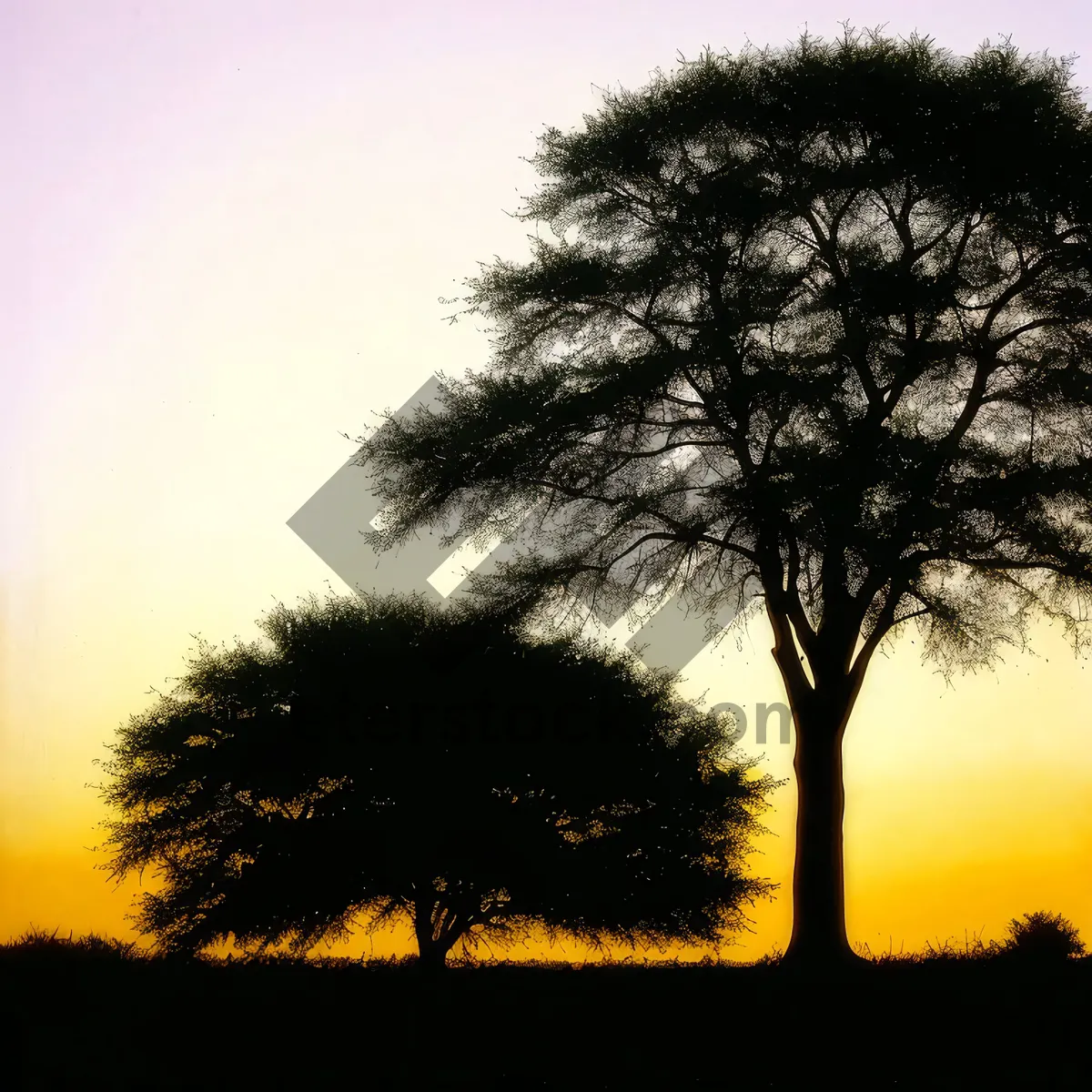 Picture of Serene Sunset Over Rustic Countryside