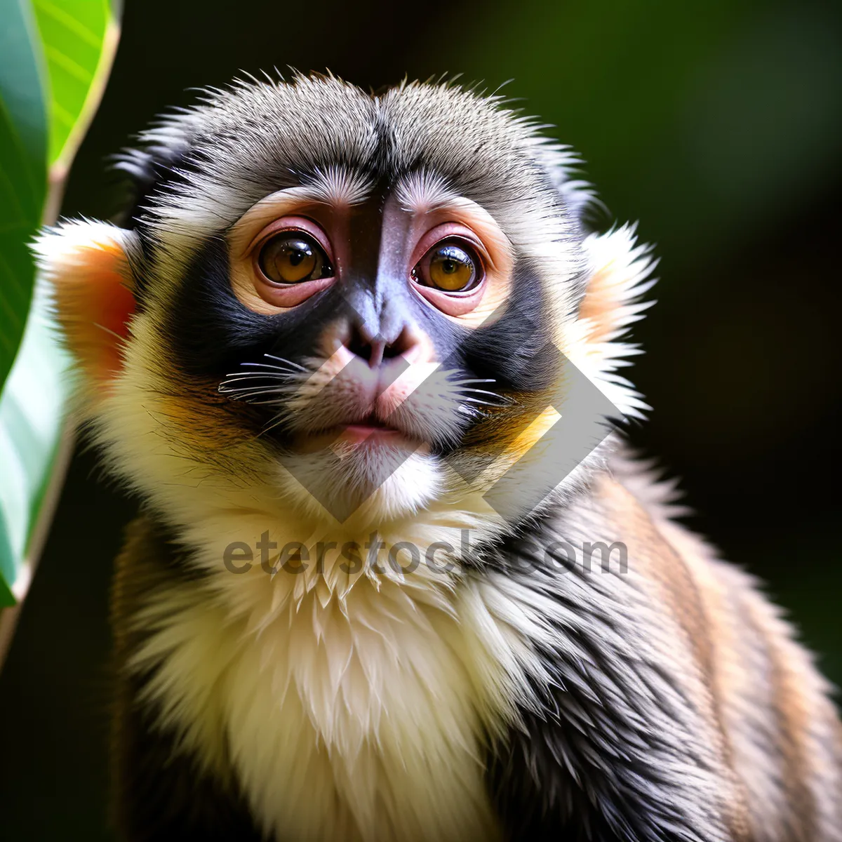 Picture of Adorable Monkey Portrait with Playful Expression