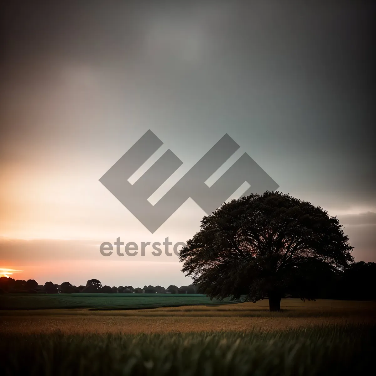 Picture of Serenity under the Clear Sky: Sunrise over the Countryside