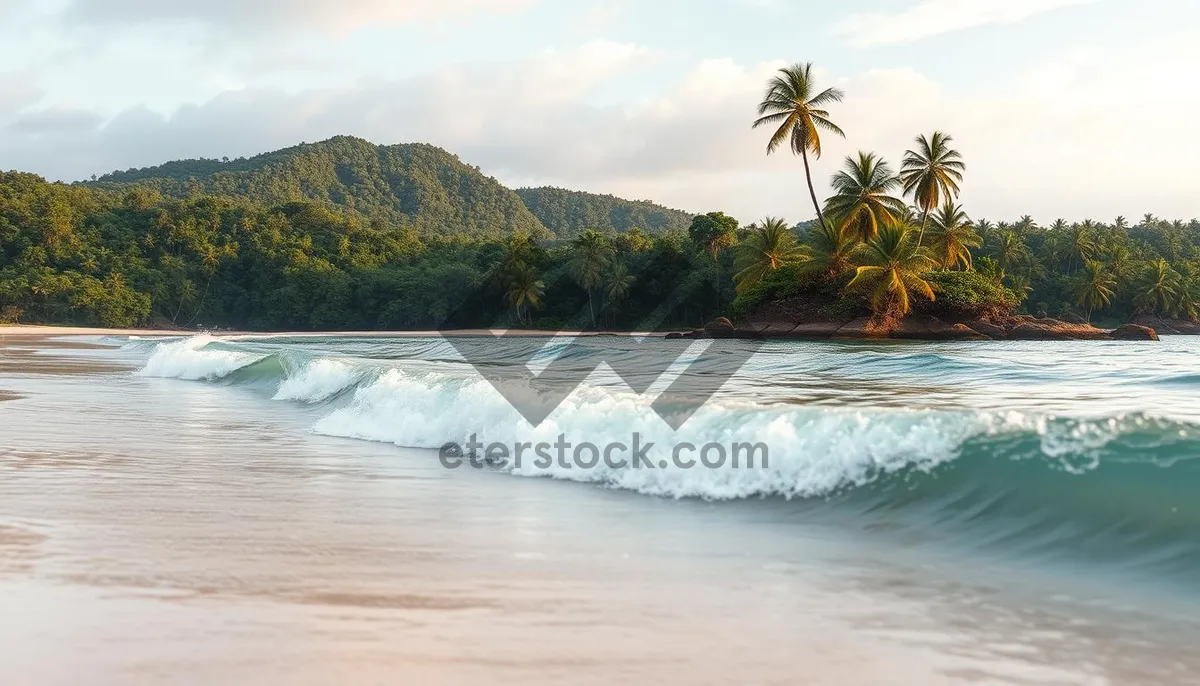 Picture of Tropical paradise beach holiday with palm trees and waves.