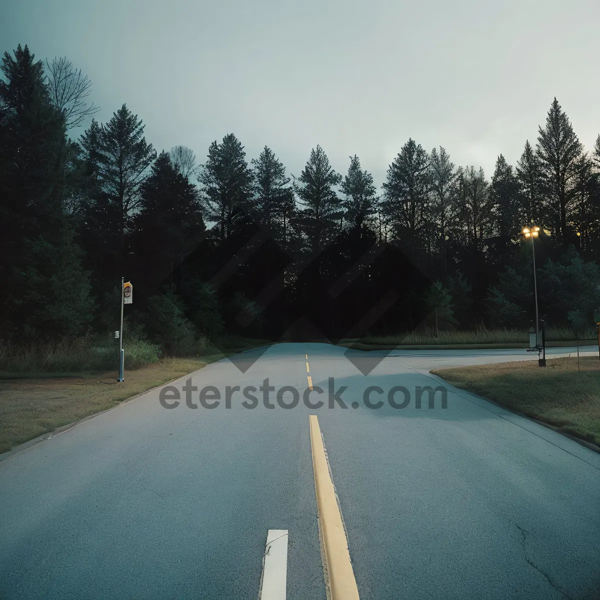 Picture of Scenic Drive through Mountainous Forest with Open Road