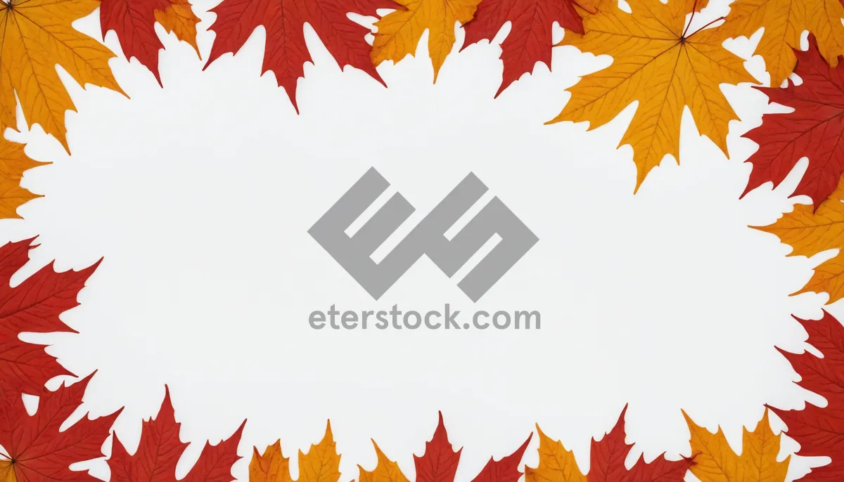 Picture of Autumn Foliage Border in Orange and Yellow