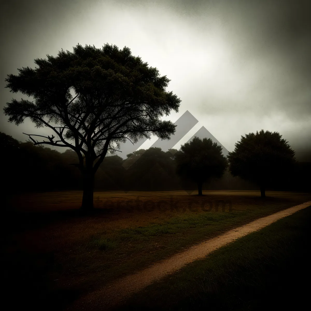 Picture of Serene Countryside Landscape with Tree and Park Bench