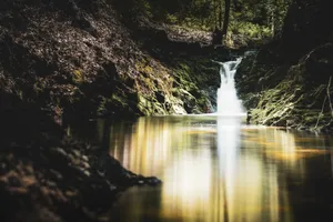 Mountain River Flowing Through Wilderness Scenery