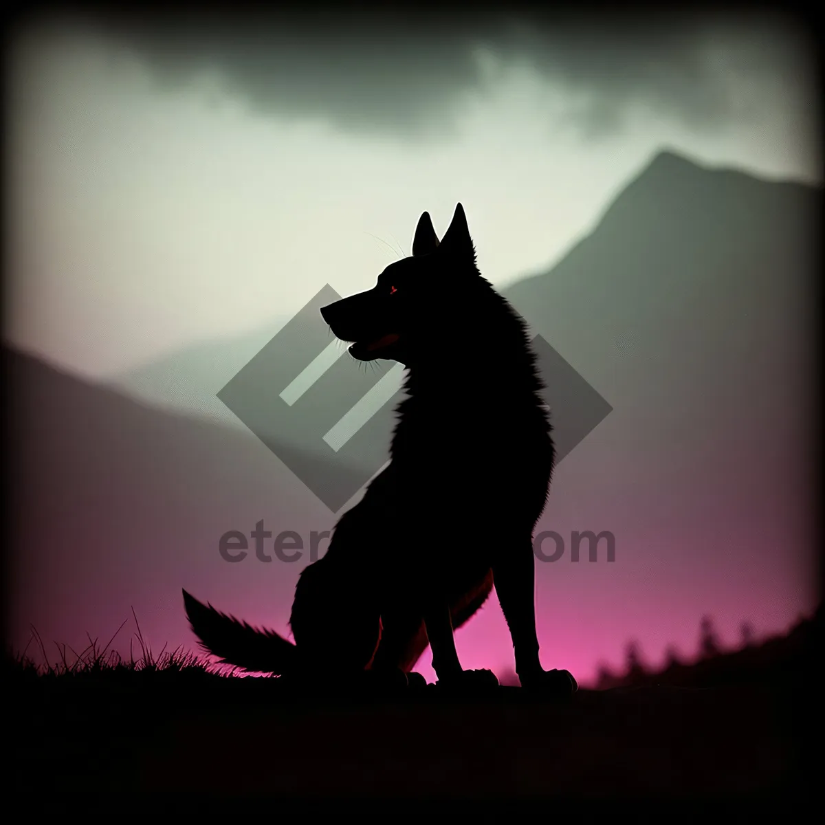 Picture of Sunset Silhouette of a Watchdog Shepherd Dog