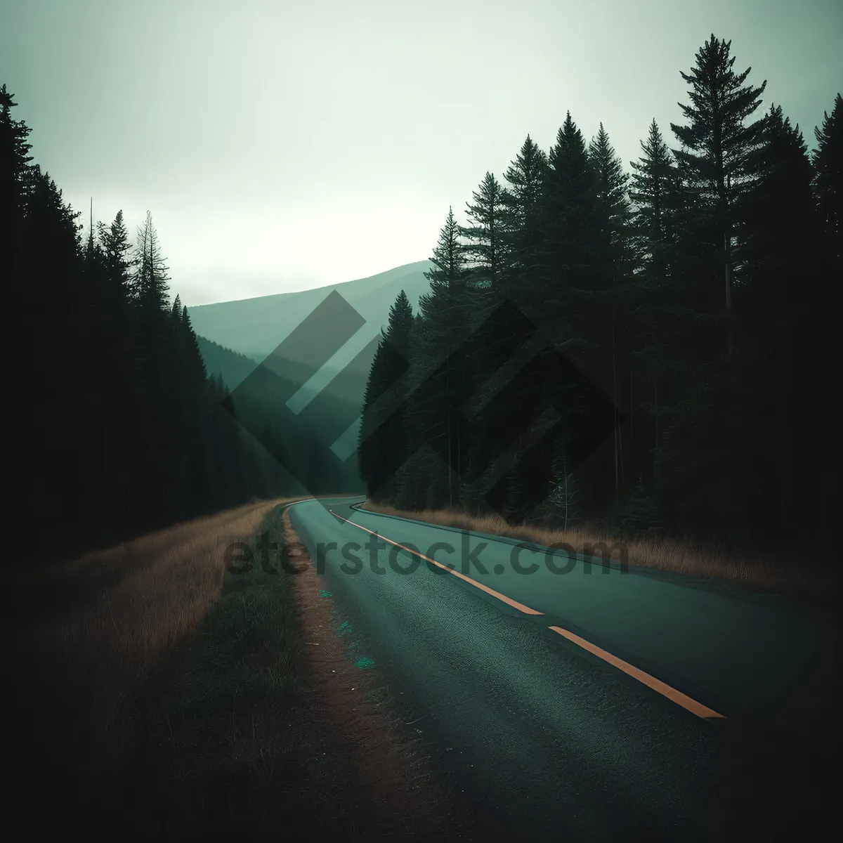 Picture of Scenic Mountain Road amid Cloudy Forest