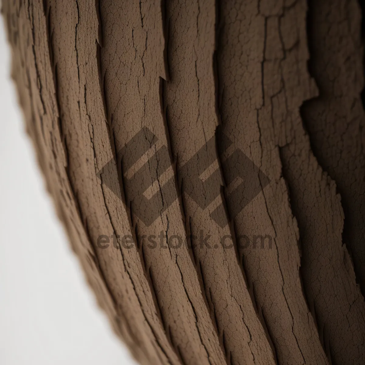 Picture of Rustic Timber Surface with Textured Bark