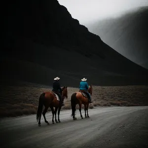 Stunning Wild Horses Galloping in Rural Landscape