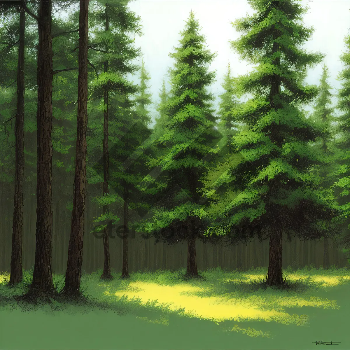 Picture of Serene Forest Path with Sunlit Canopy