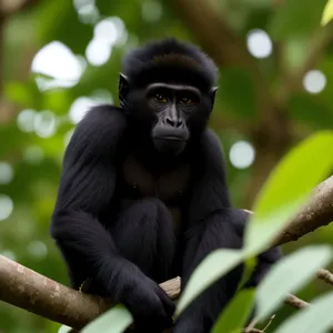 Wild Primate in Lush Forest