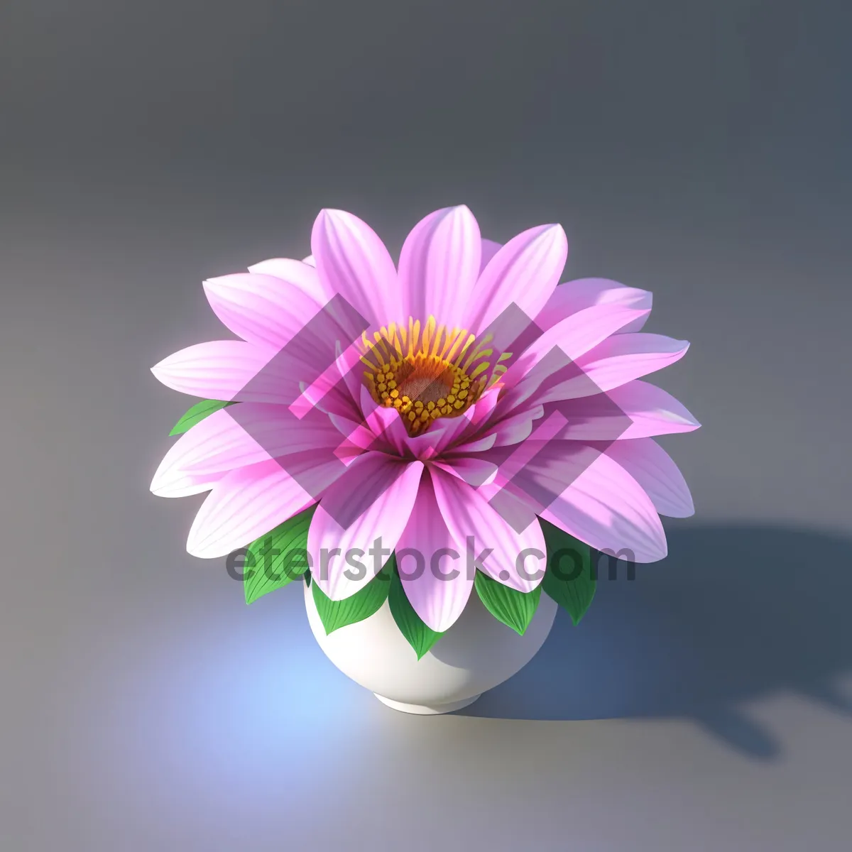 Picture of Blooming Lotus with Petals of Pink and Purple