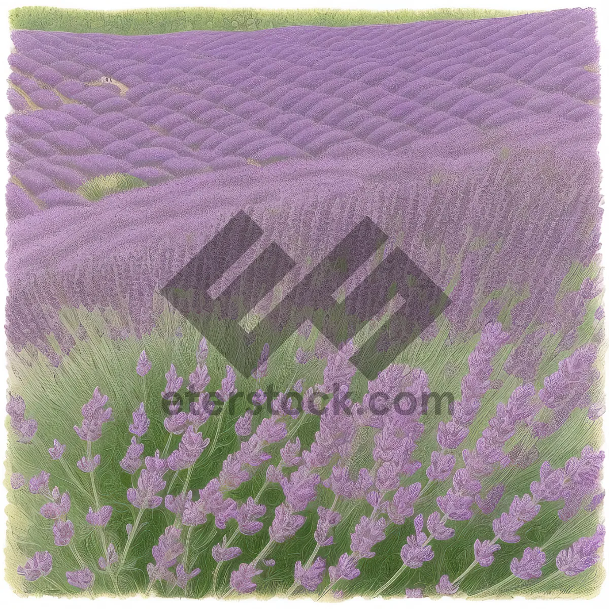 Picture of Lavender Floral Pattern on Colorful Textured Fabric