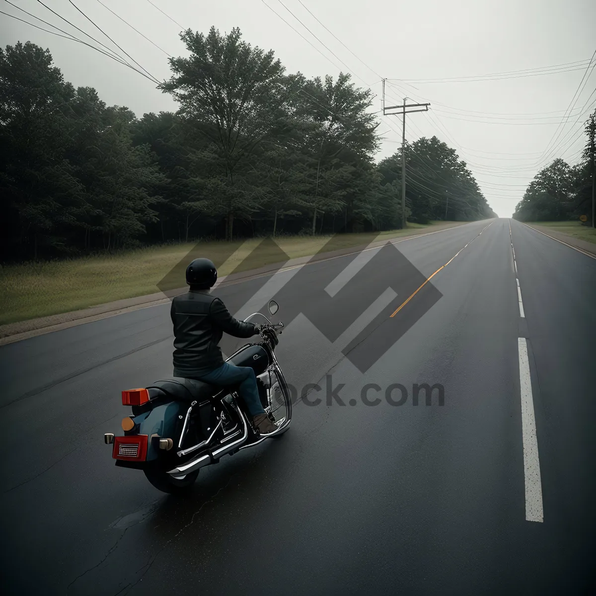 Picture of Speedy Sidecar Racing on the Open Road