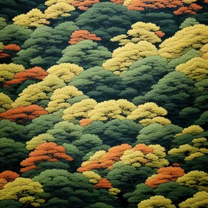 Colorful Autumn Park Landscape with Yarrow Flowers