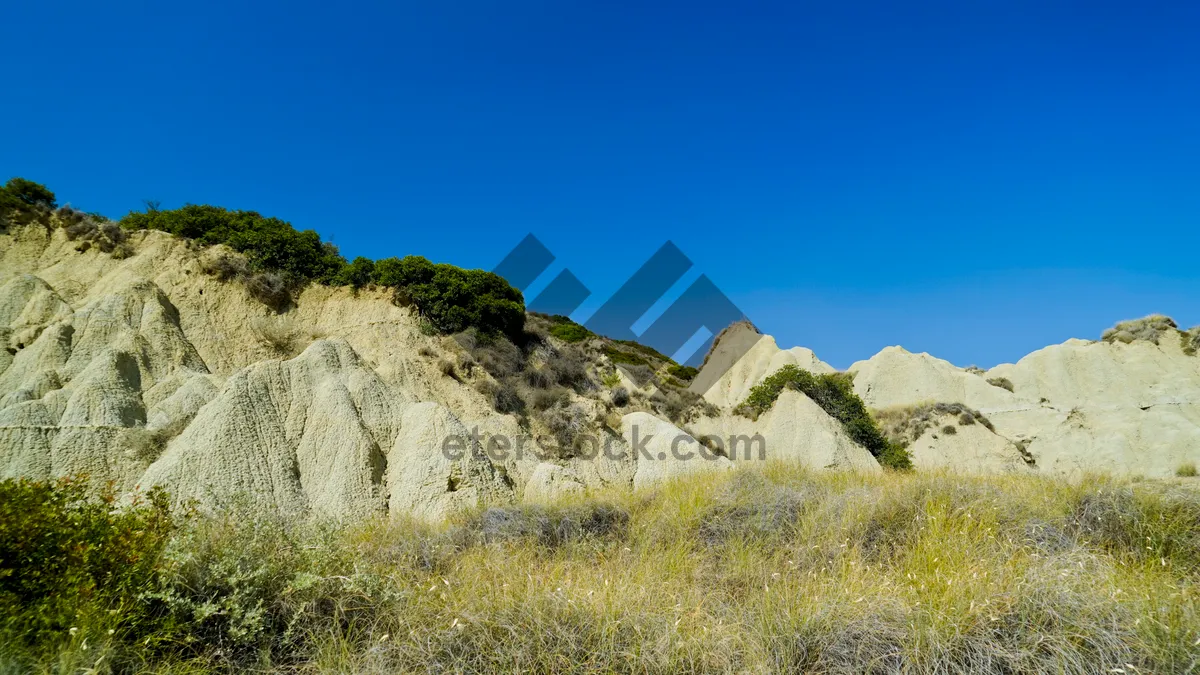 Picture of Mountain Landscape in Summer Travel Tourism Scenery