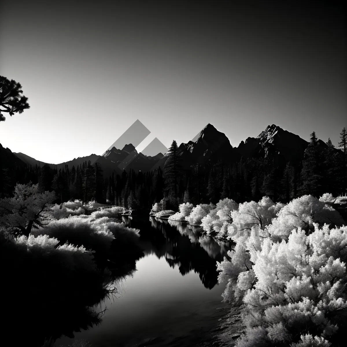 Picture of Majestic Winter Wonderland: Yucca Shrub in Snowy Mountain Landscape