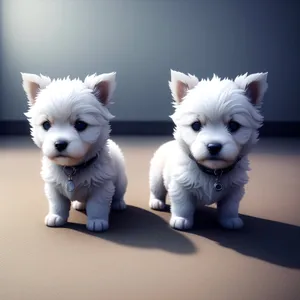 Adorable Cat and Terrier Duo: Purebred Feline and West Highland White Terrier