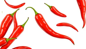 Hot Pepper Spice Icon Symbol