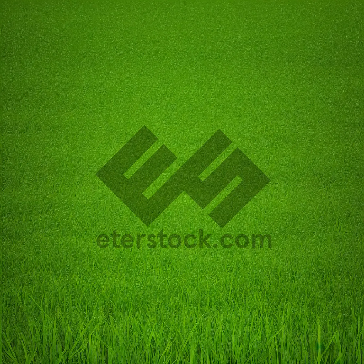 Picture of Vibrant Wheat Field in Summer Landscape