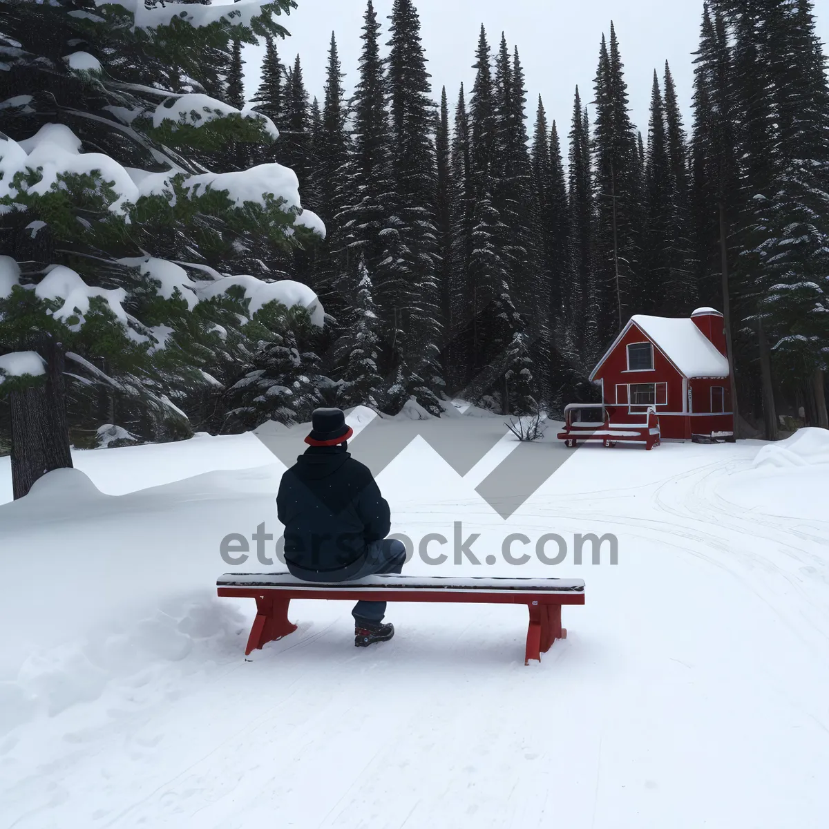 Picture of Winter Wonderland Bobsled Adventure