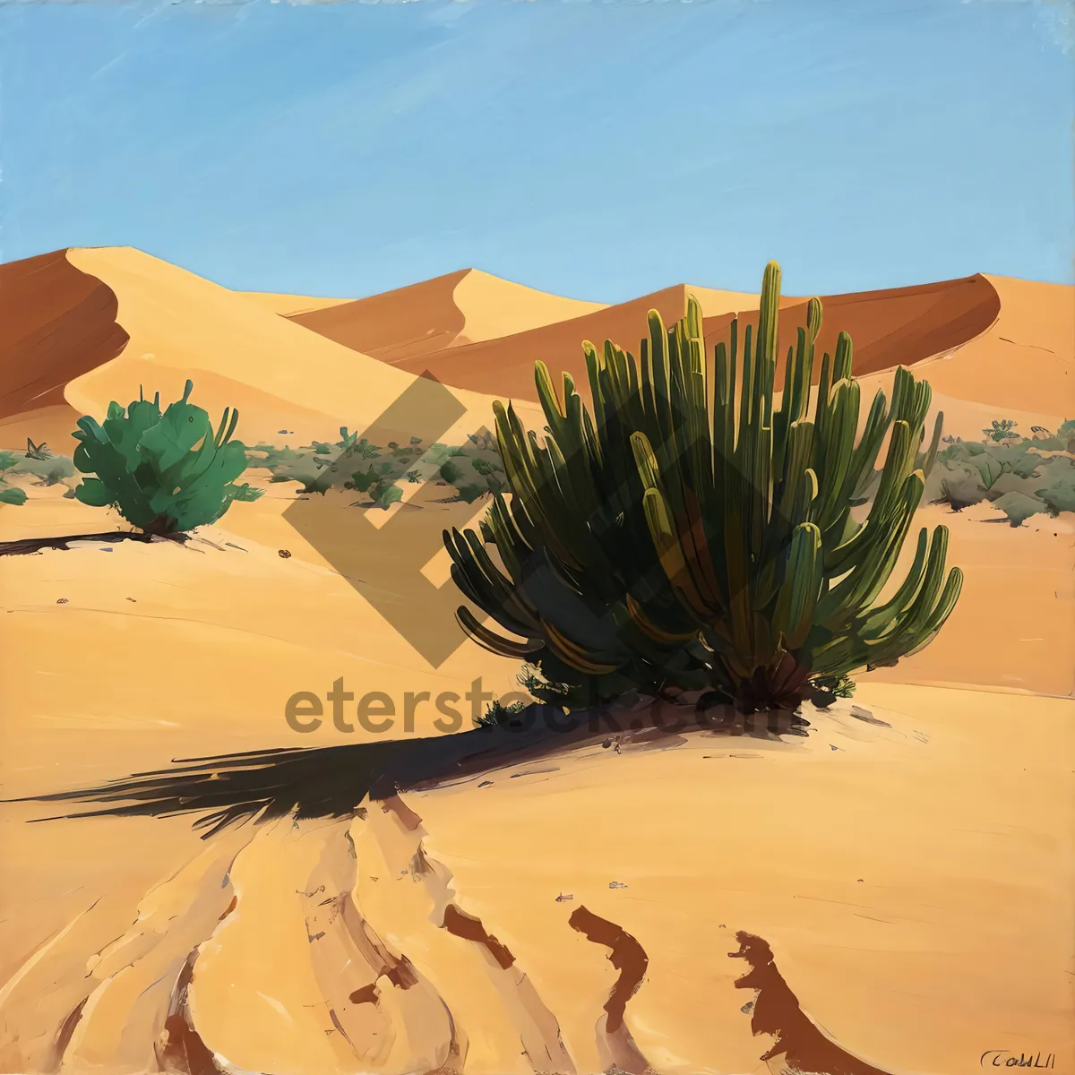 Picture of Sunny Dunescape in Arid Morocco