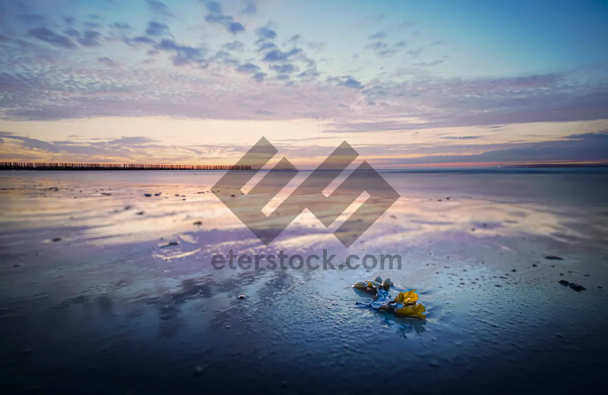 Picture of Tropical Sunset over the Ocean Beach